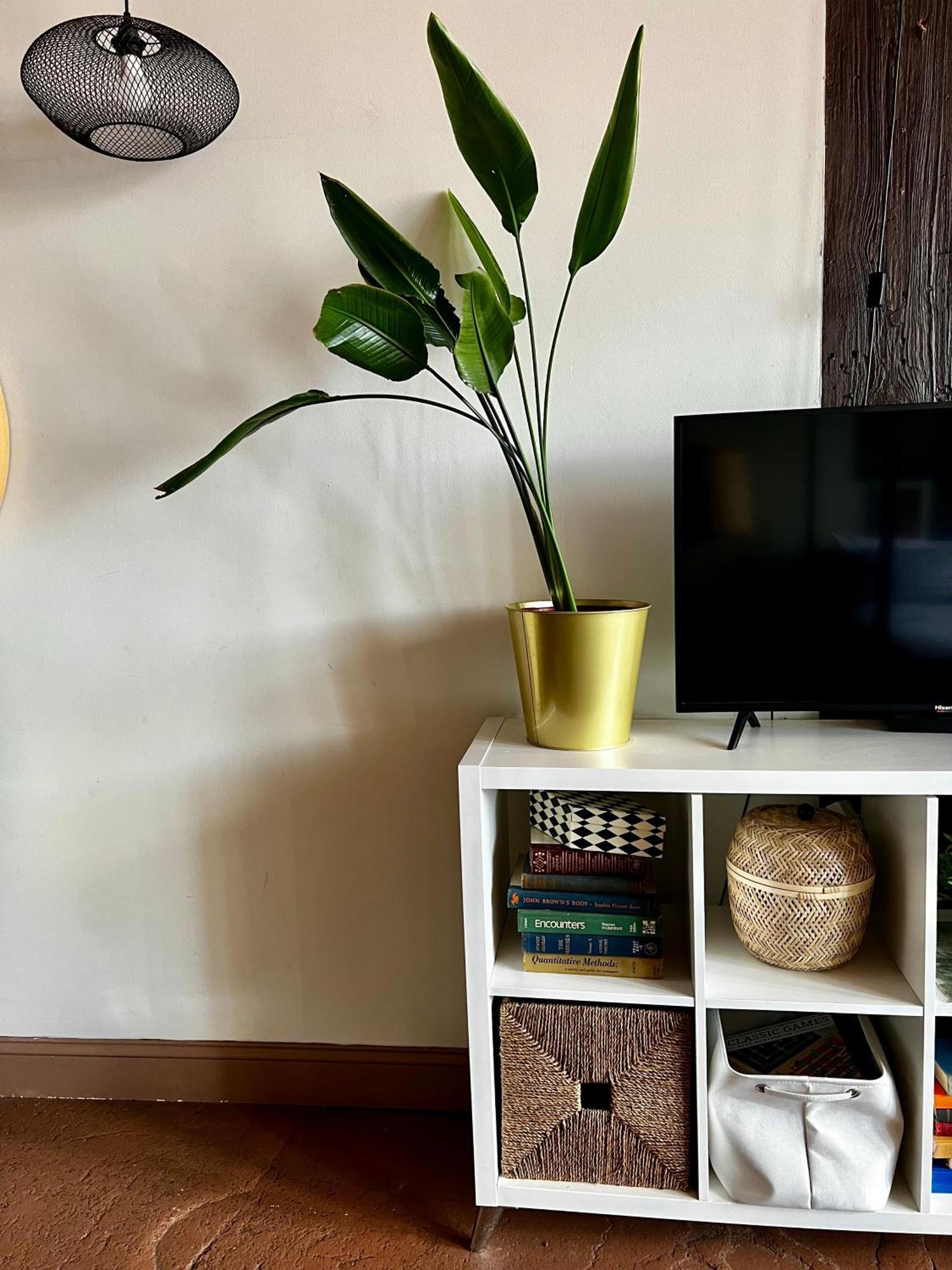 420 Friendly Boho Loft Downtown King Suite Free Parking Detroit Eksteriør bilde